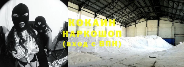 прущие грибы Нягань