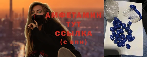 прущие грибы Нягань