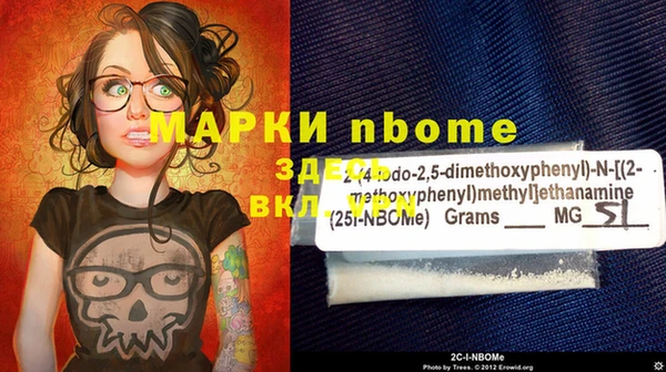 твердый Няндома
