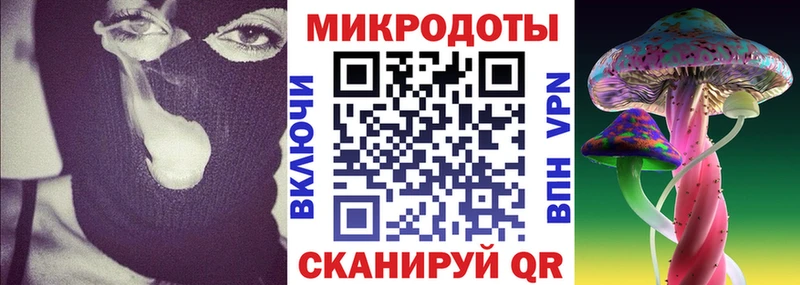 Псилоцибиновые грибы Psilocybe Тогучин